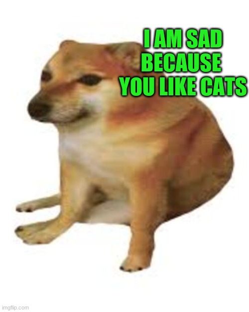 baby cheems | I AM SAD BECAUSE  YOU LIKE CATS | image tagged in baby cheems,cats,dog,cheems | made w/ Imgflip meme maker