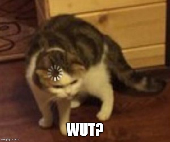 Loading cat | WUT? | image tagged in loading cat | made w/ Imgflip meme maker