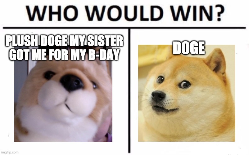 Who? | PLUSH DOGE MY SISTER GOT ME FOR MY B-DAY; DOGE | image tagged in memes,who would win | made w/ Imgflip meme maker