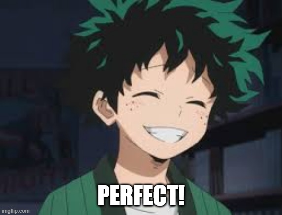 Deku smile | PERFECT! | image tagged in deku smile | made w/ Imgflip meme maker