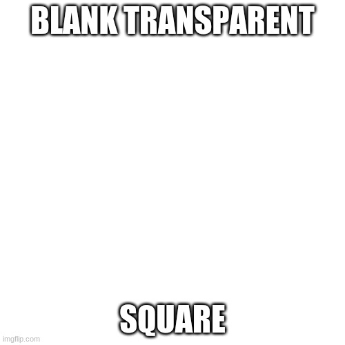 Blank | BLANK TRANSPARENT; SQUARE | image tagged in memes,blank transparent square | made w/ Imgflip meme maker