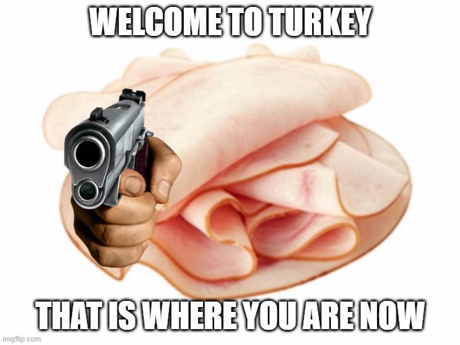 welcome to turkey. | WELCOME TO TURKEY; THAT IS WHERE YOU ARE NOW | image tagged in memes | made w/ Imgflip meme maker