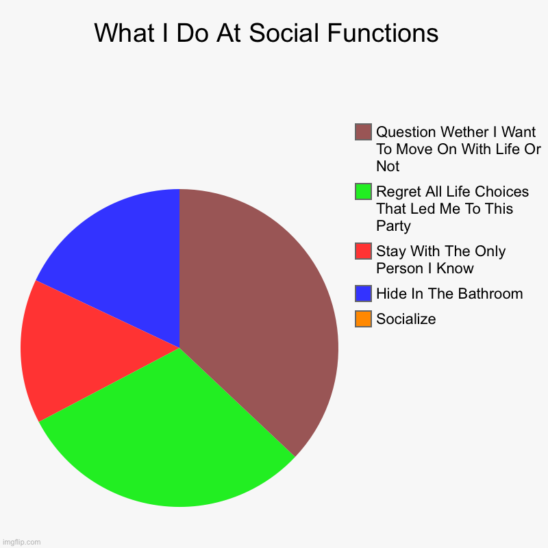 I hope you guys are having a great day | What I Do At Social Functions  | Socialize , Hide In The Bathroom, Stay With The Only Person I Know, Regret All Life Choices That Led Me To  | image tagged in charts,pie charts | made w/ Imgflip chart maker