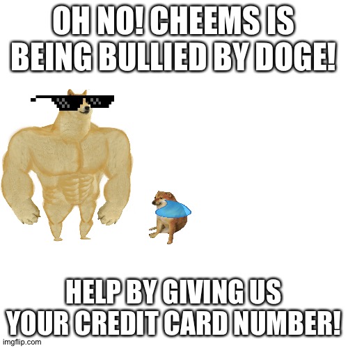 Blank Transparent Square Meme | OH NO! CHEEMS IS BEING BULLIED BY DOGE! HELP BY GIVING US YOUR CREDIT CARD NUMBER! | image tagged in memes,blank transparent square | made w/ Imgflip meme maker