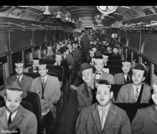 its normal for everyone in the bus to have pig masks on...right? | made w/ Imgflip meme maker