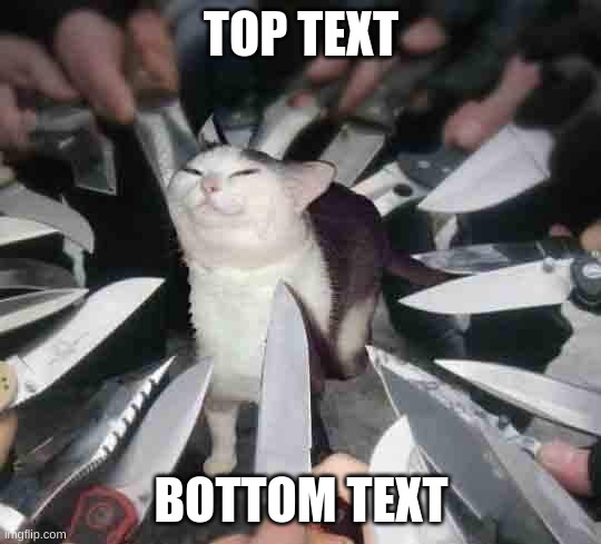 . | TOP TEXT; BOTTOM TEXT | image tagged in smug cat surrounded by knives | made w/ Imgflip meme maker