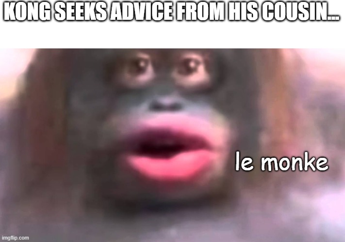 Kong seeks advice | KONG SEEKS ADVICE FROM HIS COUSIN... le monke | image tagged in le monke | made w/ Imgflip meme maker