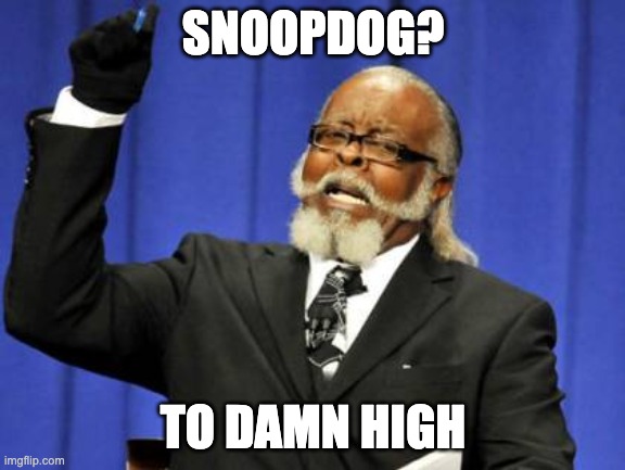 Drop it like its hot | SNOOPDOG? TO DAMN HIGH | image tagged in memes,too damn high | made w/ Imgflip meme maker