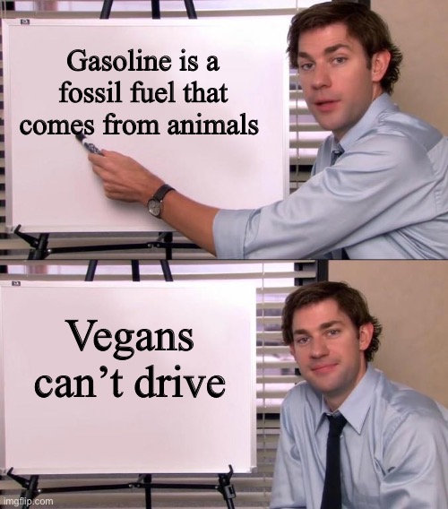 Jim Halpert Explains | Gasoline is a fossil fuel that comes from animals; Vegans can’t drive | image tagged in jim halpert explains,funny,funny memes,fun memes,imgflip,reddit | made w/ Imgflip meme maker