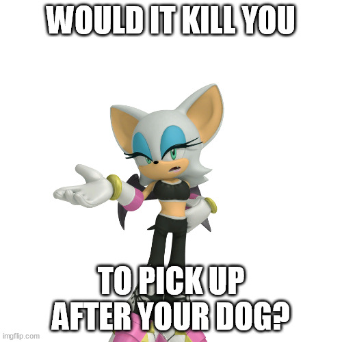 Annoyed Rouge the Bat | WOULD IT KILL YOU; TO PICK UP AFTER YOUR DOG? | image tagged in annoyed rouge the bat | made w/ Imgflip meme maker