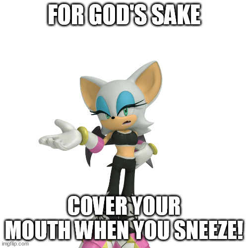 Or when you cough | FOR GOD'S SAKE; COVER YOUR MOUTH WHEN YOU SNEEZE! | image tagged in annoyed rouge the bat | made w/ Imgflip meme maker