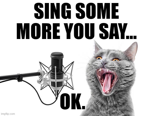 SING SOME MORE YOU SAY... OK. | made w/ Imgflip meme maker