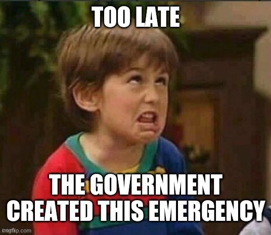 Sarcastic kid | TOO LATE THE GOVERNMENT CREATED THIS EMERGENCY | image tagged in sarcastic kid | made w/ Imgflip meme maker