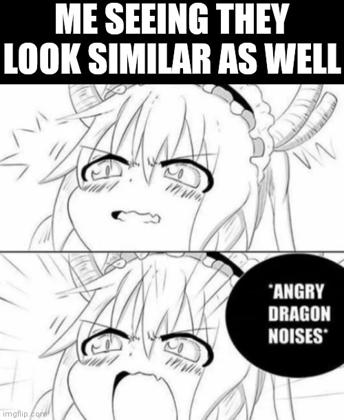 Angry dragon noises | ME SEEING THEY LOOK SIMILAR AS WELL | image tagged in angry dragon noises | made w/ Imgflip meme maker