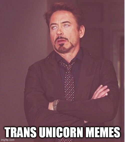 Face You Make Robert Downey Jr Meme | TRANS UNICORN MEMES | image tagged in memes,face you make robert downey jr | made w/ Imgflip meme maker