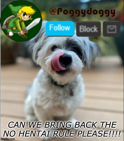 poggydoggy announcment | CAN WE BRING BACK THE NO HENTAI RULE PLEASE!!!! | image tagged in poggydoggy announcment | made w/ Imgflip meme maker