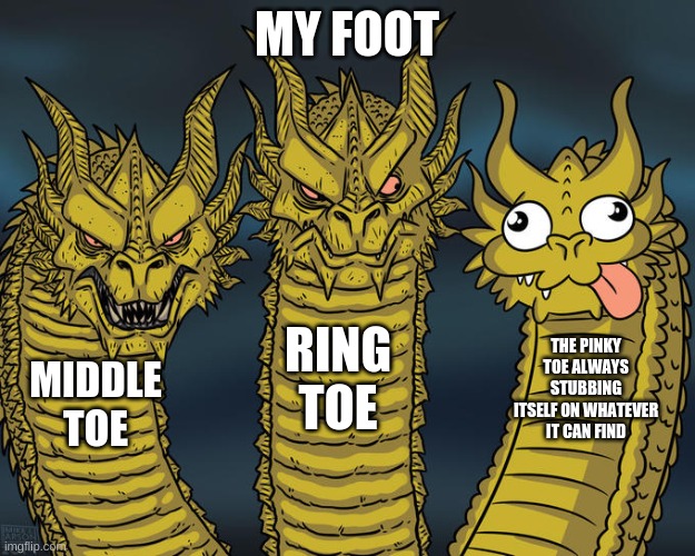 Three-headed Dragon | MY FOOT; RING TOE; THE PINKY TOE ALWAYS STUBBING ITSELF ON WHATEVER IT CAN FIND; MIDDLE TOE | image tagged in three-headed dragon | made w/ Imgflip meme maker