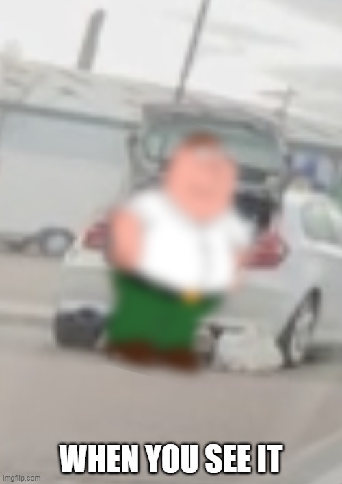 WHEN YOU SEE IT | image tagged in peter griffin,family guy | made w/ Imgflip meme maker
