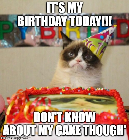 its actually my birthday | IT'S MY BIRTHDAY TODAY!!! DON'T KNOW ABOUT MY CAKE THOUGH' | image tagged in memes,grumpy cat birthday,grumpy cat | made w/ Imgflip meme maker