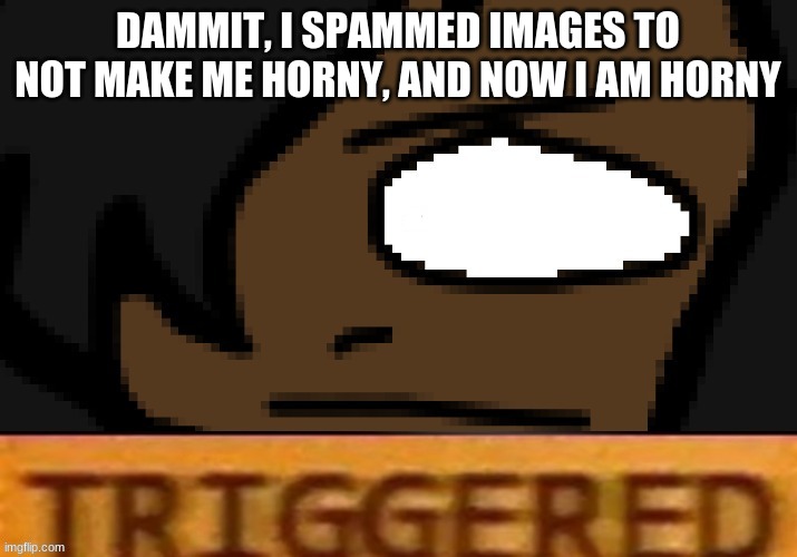 son of a bitch- | DAMMIT, I SPAMMED IMAGES TO NOT MAKE ME HORNY, AND NOW I AM HORNY | image tagged in triggered willow | made w/ Imgflip meme maker
