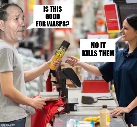 is this good for wasps? | IS THIS GOOD FOR WASPS? NO IT KILLS THEM | image tagged in kewlew,wasps | made w/ Imgflip meme maker