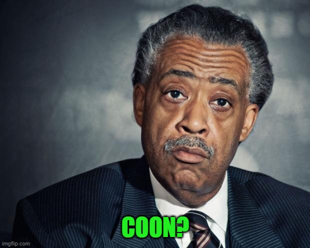 al sharpton racist | COON? | image tagged in al sharpton racist | made w/ Imgflip meme maker