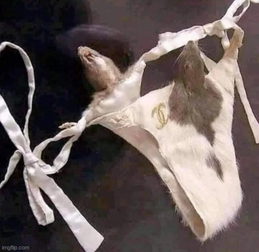 . . . | image tagged in i have no words for this plz help me oml oml oml | made w/ Imgflip meme maker