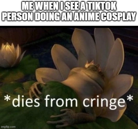dies from cringe tiktok | ME WHEN I SEE A TIKTOK PERSON DOING AN ANIME COSPLAY | image tagged in dies from cringe,anime,tiktok,memes | made w/ Imgflip meme maker