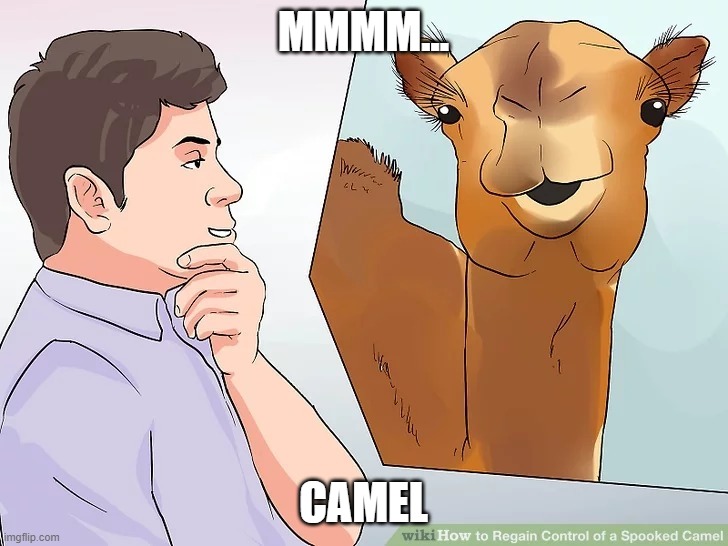 Mmmm... Camel | MMMM... CAMEL | image tagged in mmmm camel | made w/ Imgflip meme maker