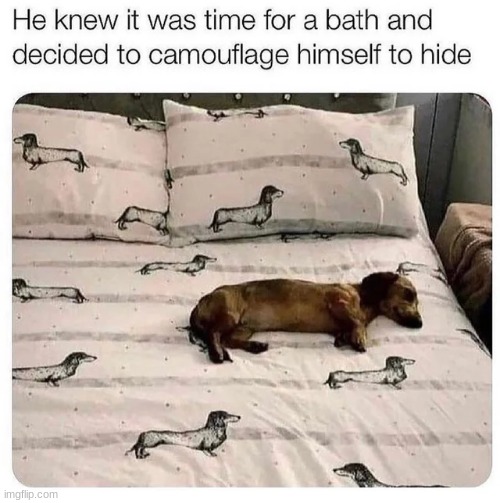 Smort Doggo | made w/ Imgflip meme maker