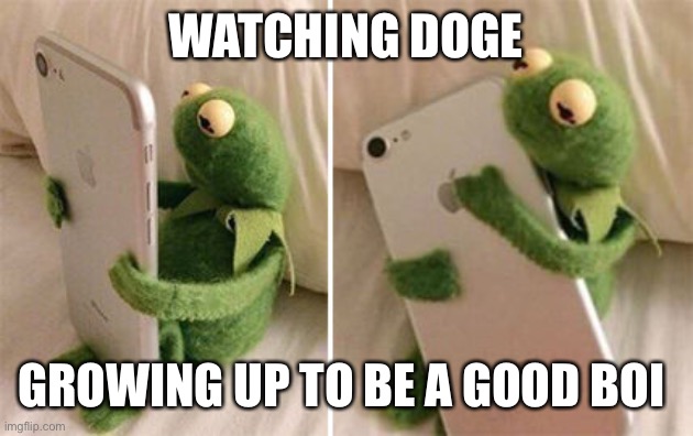 Kermit Hugging Phone | WATCHING DOGE; GROWING UP TO BE A GOOD BOI | image tagged in kermit hugging phone | made w/ Imgflip meme maker