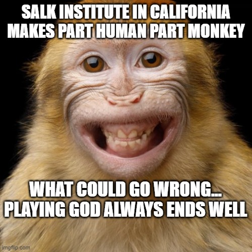 Human-Monkey | SALK INSTITUTE IN CALIFORNIA MAKES PART HUMAN PART MONKEY; WHAT COULD GO WRONG...
PLAYING GOD ALWAYS ENDS WELL | image tagged in monkey-human,playing god,ethic,really | made w/ Imgflip meme maker