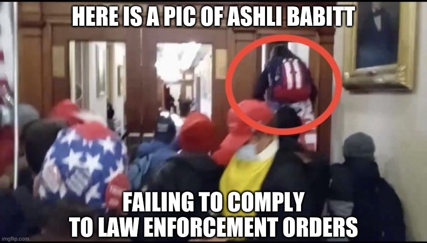 Ashli Babbitt | HERE IS A PIC OF ASHLI BABITT FAILING TO COMPLY TO LAW ENFORCEMENT ORDERS | image tagged in ashli babbitt | made w/ Imgflip meme maker