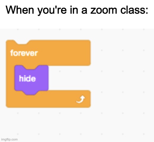 Zoom Class | When you're in a zoom class: | image tagged in zoom | made w/ Imgflip meme maker