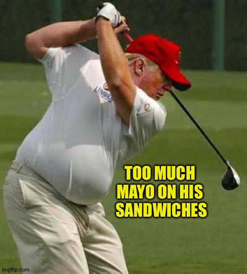 Dunlap's Disease, when your belly dun lap over your belt | TOO MUCH 
MAYO ON HIS 
SANDWICHES | image tagged in trump golf gut | made w/ Imgflip meme maker