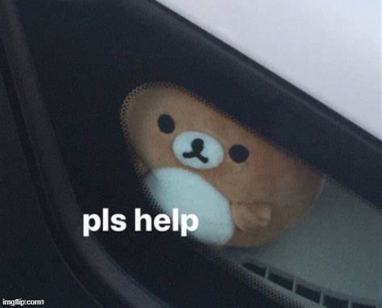 Pls help | image tagged in pls help | made w/ Imgflip meme maker