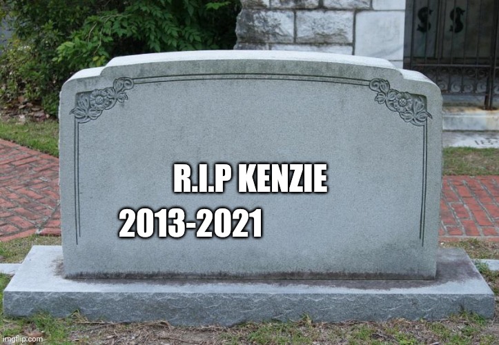 I killed myself ☠☠☠ | R.I.P KENZIE; 2013-2021 | image tagged in gravestone | made w/ Imgflip meme maker