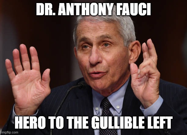 Here's the country's most cowardly, fraudulent political hack. | DR. ANTHONY FAUCI; HERO TO THE GULLIBLE LEFT | image tagged in anthony fauci,fraud,fear,covid-19,hack,liar | made w/ Imgflip meme maker