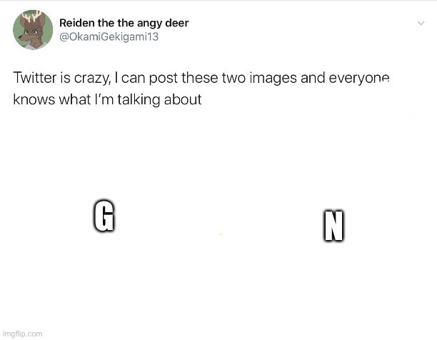 Twitter is crazy | N; G | image tagged in twitter is crazy | made w/ Imgflip meme maker