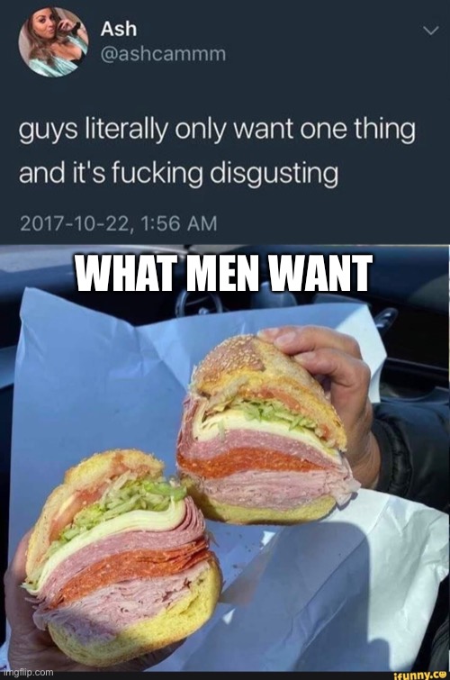 WHAT MEN WANT | made w/ Imgflip meme maker