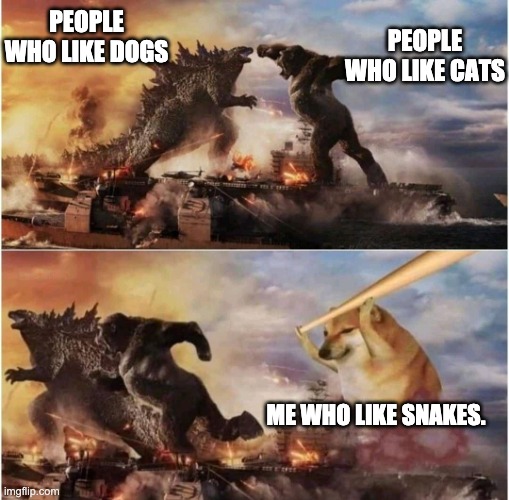 animals | PEOPLE WHO LIKE DOGS; PEOPLE WHO LIKE CATS; ME WHO LIKE SNAKES. | image tagged in kong godzilla doge,funny,memes,animals,godzilla | made w/ Imgflip meme maker