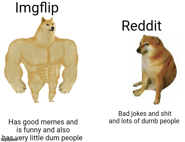 Buff Doge vs. Cheems Meme | Imgflip; Reddit; Bad jokes and shit and lots of dumb people; Has good memes and is funny and also has very little dum people | image tagged in memes,buff doge vs cheems | made w/ Imgflip meme maker