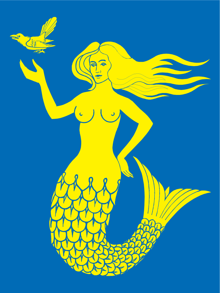 Mermaid Flag Blank Meme Template