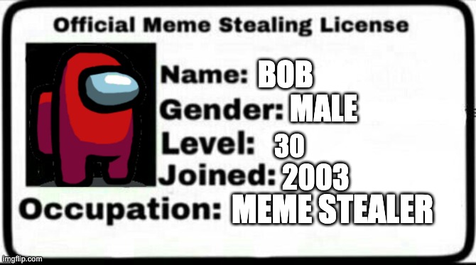 lisence | BOB; MALE; 30; 2003; MEME STEALER | image tagged in meme stealing license,memes,funny,animals | made w/ Imgflip meme maker