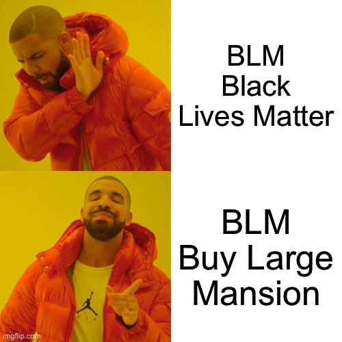 Drake Hotline Bling Meme | BLM Black Lives Matter; BLM Buy Large Mansion | image tagged in memes,drake hotline bling | made w/ Imgflip meme maker