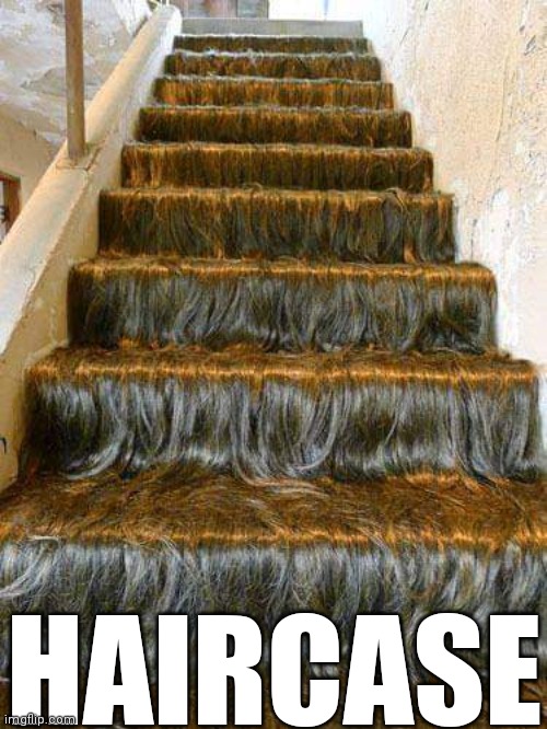 This exists, where's my eye bleach |  HAIRCASE | image tagged in hair,bad hair,stairs,bad hair day,funny,brimmuthafukinstone | made w/ Imgflip meme maker