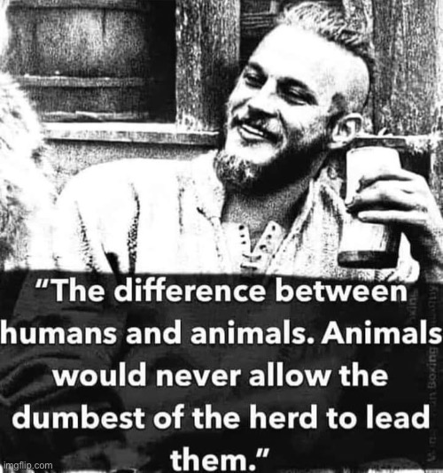 based 1, maga | image tagged in humans vs animals,repost,maga,politicians,politicians suck,animals | made w/ Imgflip meme maker