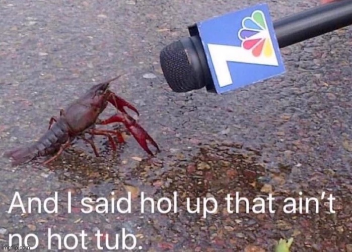 Lobster And I said hol up | image tagged in lobster and i said hol up | made w/ Imgflip meme maker
