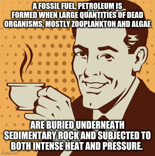 oil is not comprised of dinosaur bodies | A FOSSIL FUEL, PETROLEUM IS FORMED WHEN LARGE QUANTITIES OF DEAD ORGANISMS, MOSTLY ZOOPLANKTON AND ALGAE; ARE BURIED UNDERNEATH SEDIMENTARY ROCK AND SUBJECTED TO BOTH INTENSE HEAT AND PRESSURE. | image tagged in mug approval | made w/ Imgflip meme maker