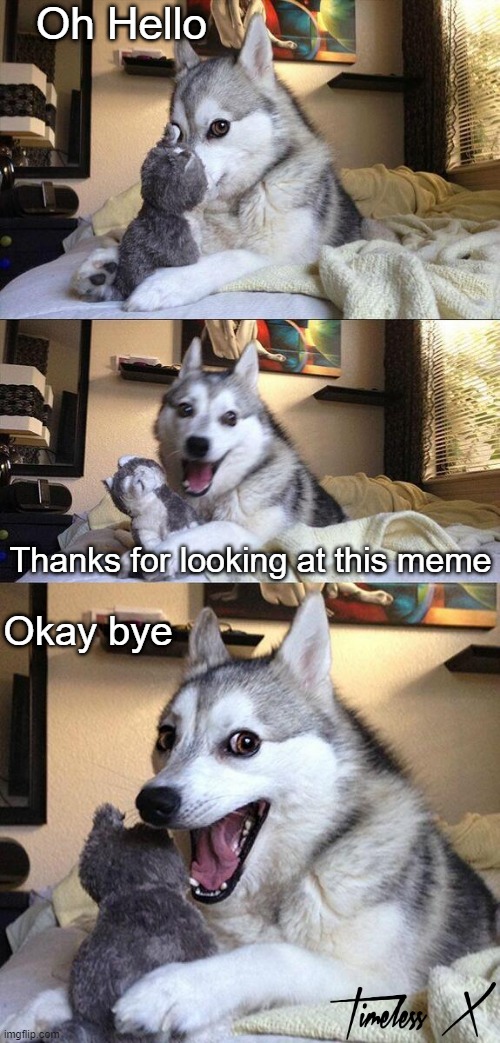 A Wholesome Meme | Oh Hello; Thanks for looking at this meme; Okay bye | image tagged in memes,bad pun dog,wholesome | made w/ Imgflip meme maker